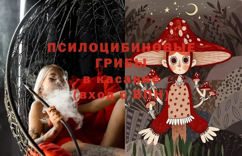 Псилоцибиновые грибы Magic Shrooms  Минусинск 